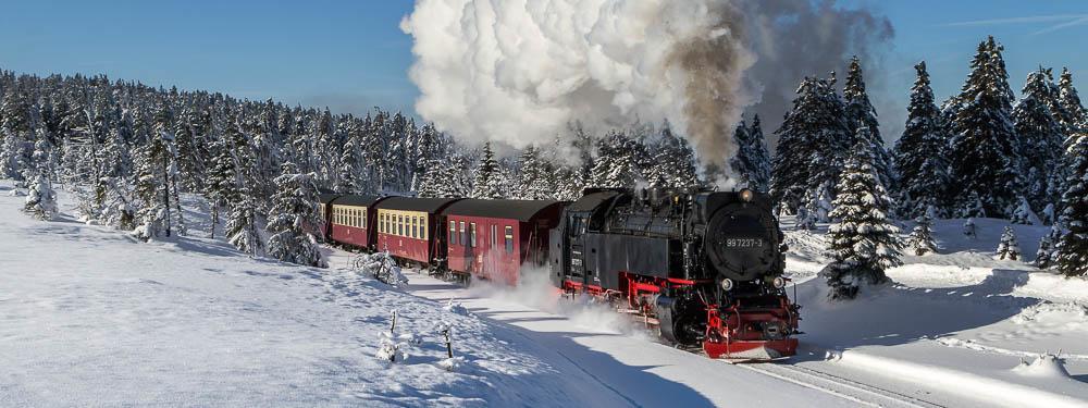 Ferienhaus Thale ブラウンラーゲ エクステリア 写真